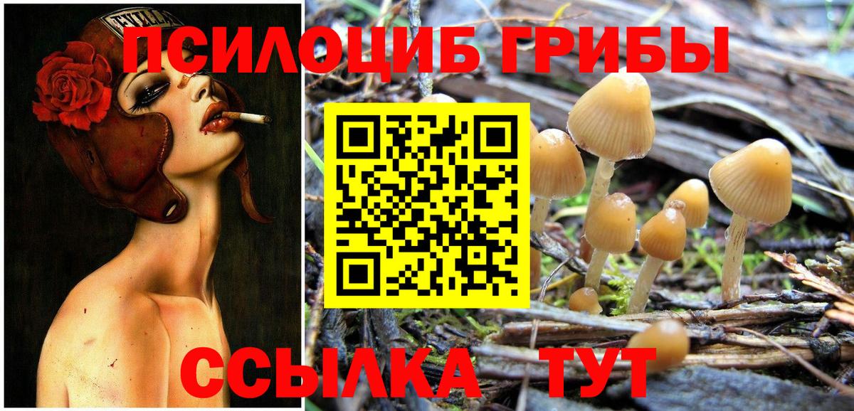 Псилоцибиновые грибы Magic Shrooms  Вход с VPN  Киреевск 